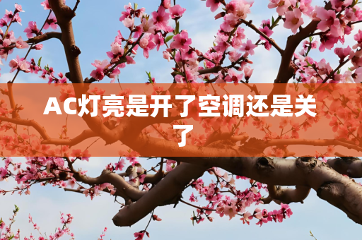 AC灯亮是开了空调还是关了