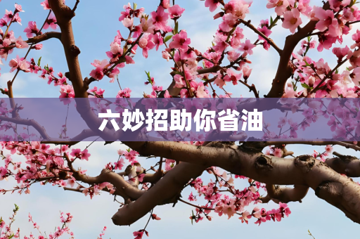 六妙招助你省油