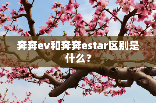 奔奔ev和奔奔estar区别是什么？