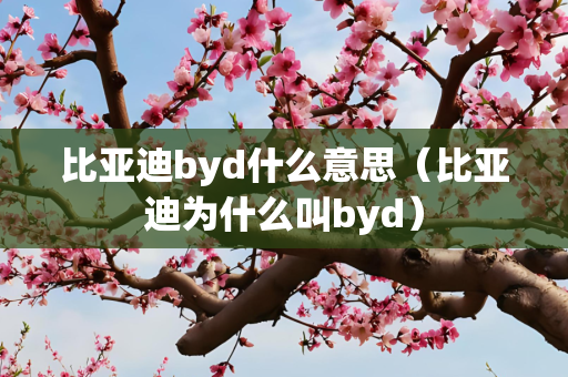 比亚迪byd什么意思（比亚迪为什么叫byd）