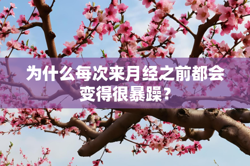 为什么每次来月经之前都会变得很暴躁？