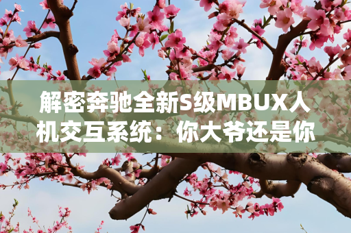 解密奔驰全新S级MBUX人机交互系统：你大爷还是你大爷