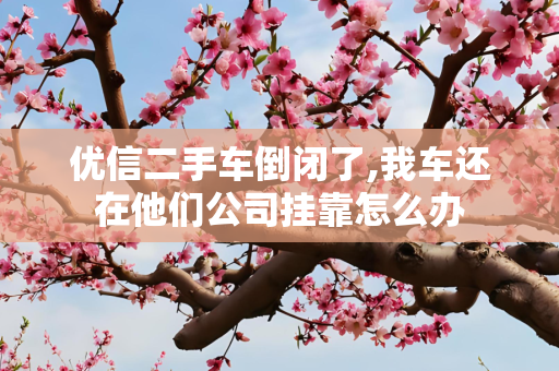 优信二手车倒闭了,我车还在他们公司挂靠怎么办