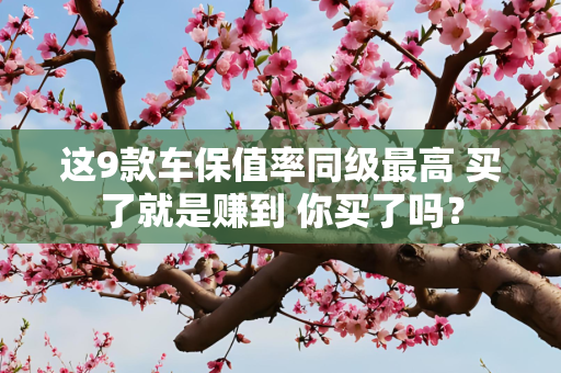 这9款车保值率同级最高 买了就是赚到 你买了吗？