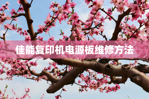 佳能复印机电源板维修方法
