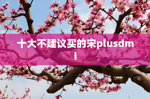 十大不建议买的宋plusdmi