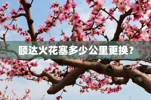 颐达火花塞多少公里更换？