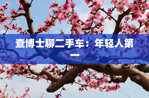 查博士聊二手车：年轻人第一