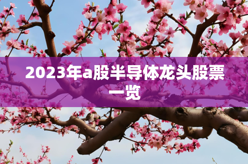 2023年a股半导体龙头股票一览