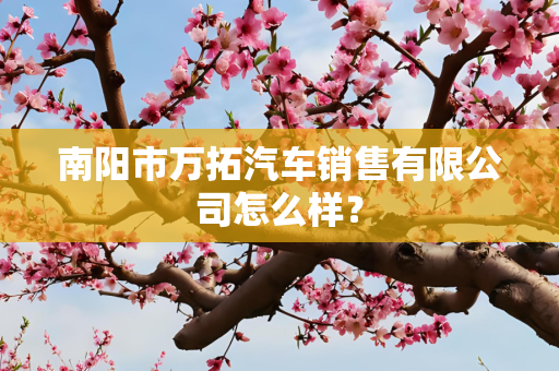 南阳市万拓汽车销售有限公司怎么样？
