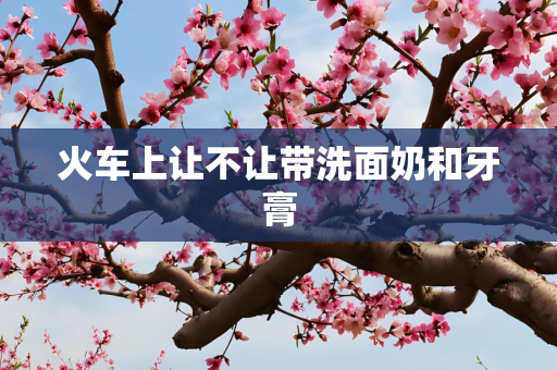 火车上让不让带洗面奶和牙膏