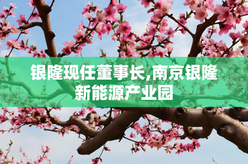银隆现任董事长,南京银隆新能源产业园