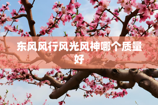 东风风行风光风神哪个质量好