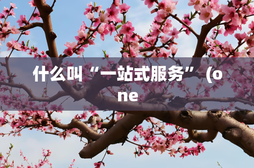 什么叫“一站式服务” (one