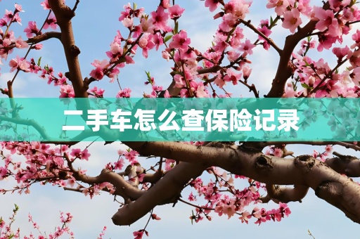 二手车怎么查保险记录