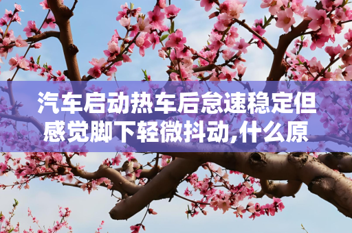 汽车启动热车后怠速稳定但感觉脚下轻微抖动,什么原因?