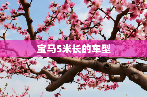 宝马5米长的车型
