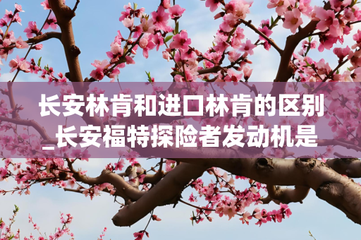 长安林肯和进口林肯的区别_长安福特探险者发动机是进口的吗