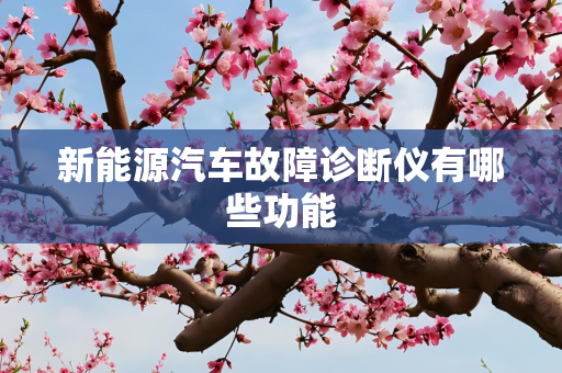 新能源汽车故障诊断仪有哪些功能