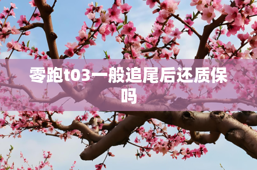 零跑t03一般追尾后还质保吗
