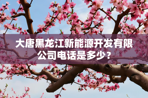 大唐黑龙江新能源开发有限公司电话是多少？