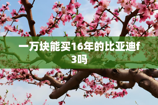 一万块能买16年的比亚迪f3吗