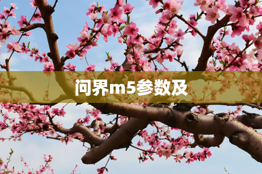 问界m5参数及