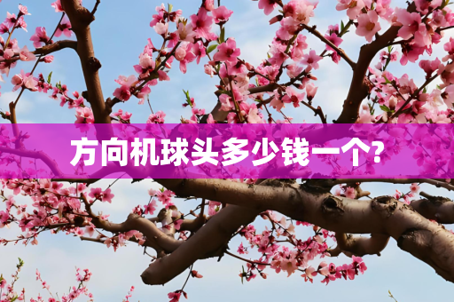 方向机球头多少钱一个?