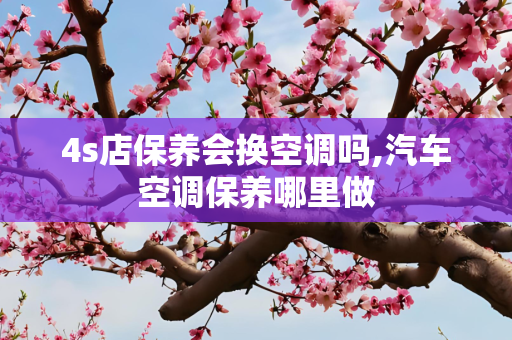 4s店保养会换空调吗,汽车空调保养哪里做