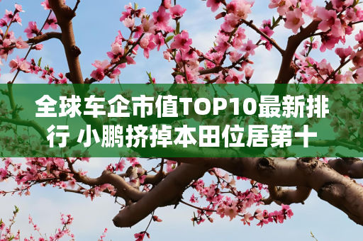 全球车企市值TOP10最新排行 小鹏挤掉本田位居第十