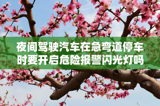 夜间驾驶汽车在急弯道停车时要开启危险报警闪光灯吗