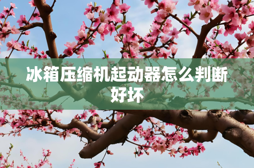 冰箱压缩机起动器怎么判断好坏