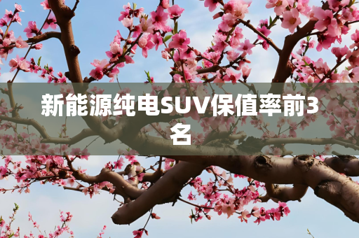 新能源纯电SUV保值率前3名