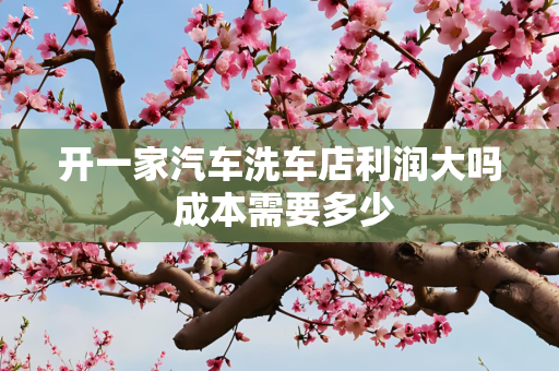 开一家汽车洗车店利润大吗 成本需要多少
