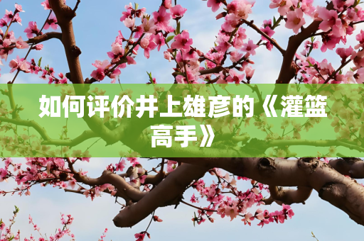 如何评价井上雄彦的《灌篮高手》