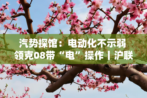 汽势探馆：电动化不示弱 领克08带“电”操作丨沪联网车展