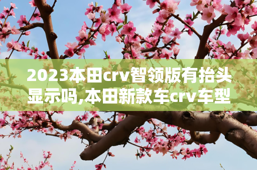 2023本田crv智领版有抬头显示吗,本田新款车crv车型