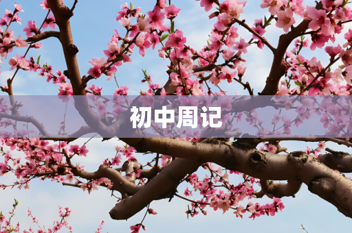 初中周记