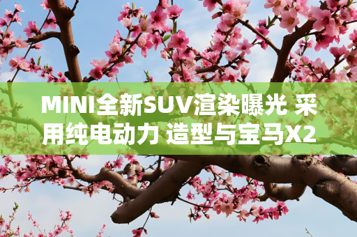 MINI全新SUV渲染曝光 采用纯电动力 造型与宝马X2相似