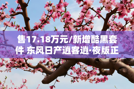 售17.18万元/新增酷黑套件 东风日产逍客逍·夜版正式上市