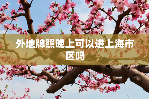 外地牌照晚上可以进上海市区吗