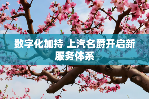数字化加持 上汽名爵开启新服务体系