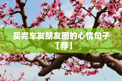 买完车发朋友圈的心情句子 【荐】