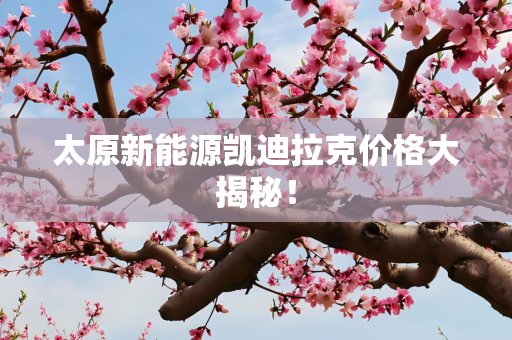 太原新能源凯迪拉克价格大揭秘！