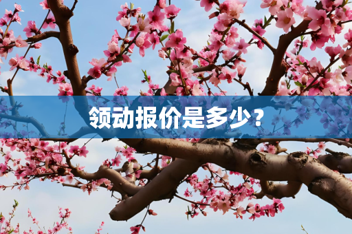 领动报价是多少？
