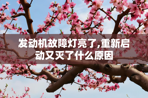发动机故障灯亮了,重新启动又灭了什么原因