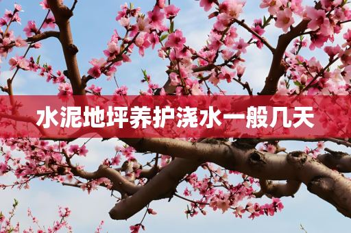 水泥地坪养护浇水一般几天