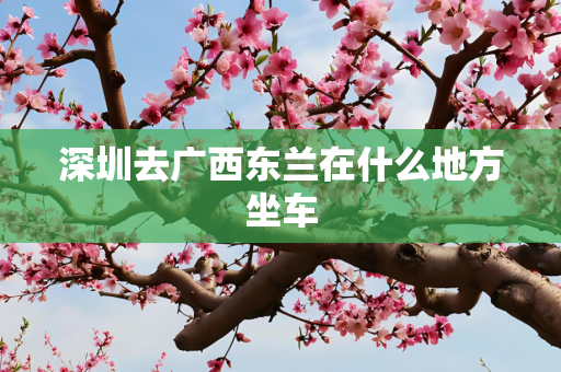 深圳去广西东兰在什么地方坐车