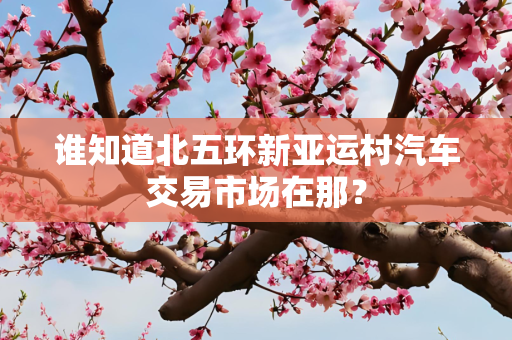 谁知道北五环新亚运村汽车交易市场在那？