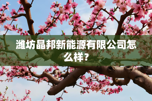 潍坊晶邦新能源有限公司怎么样？